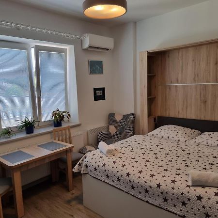 Appartement Garsoniera Dukla 289 à Decin Extérieur photo