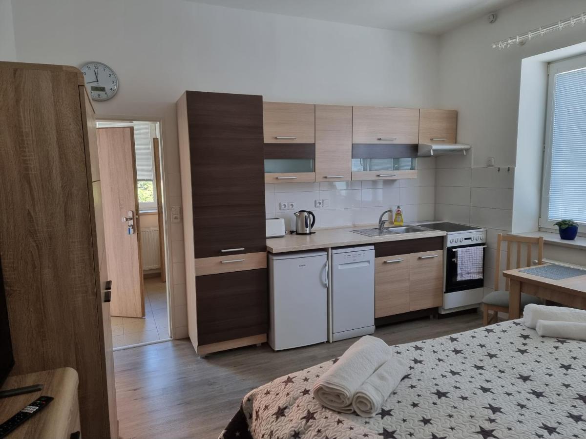 Appartement Garsoniera Dukla 289 à Decin Extérieur photo