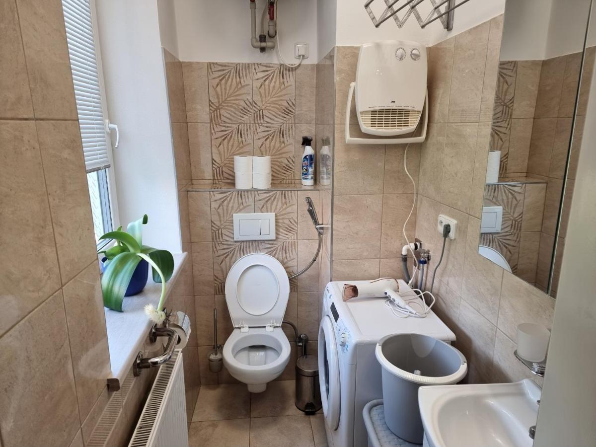 Appartement Garsoniera Dukla 289 à Decin Extérieur photo